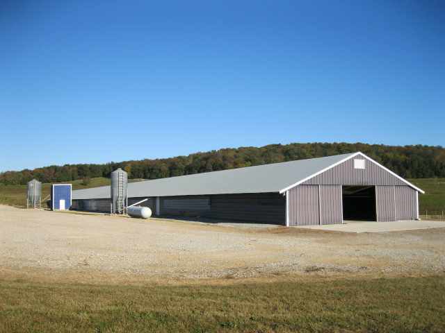 Cheap Poultry Farming Prefabricated Industrial Chicken House